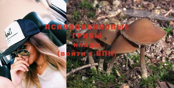 Альфа ПВП Аркадак