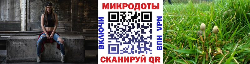 Псилоцибиновые грибы Psilocybe Усть-Джегута