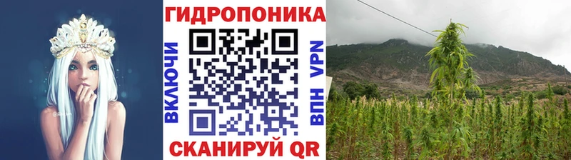 Бошки марихуана THC 21%  что такое наркотик  Усть-Джегута 